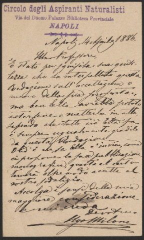 Anteprima dell'oggetto