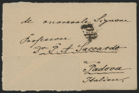 Anteprima dell'oggetto