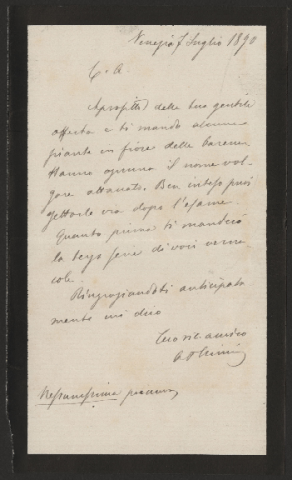 Anteprima dell'oggetto