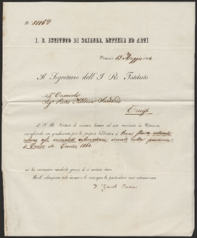 Anteprima dell'oggetto