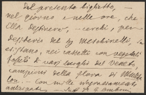 Anteprima dell'oggetto