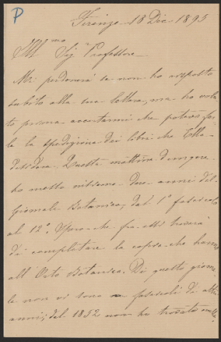 Anteprima dell'oggetto