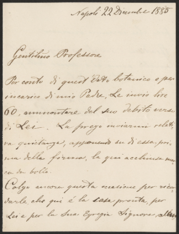 Anteprima dell'oggetto