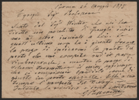 Anteprima dell'oggetto