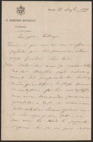 Anteprima dell'oggetto