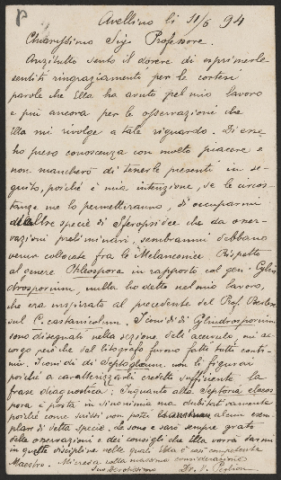 Anteprima dell'oggetto