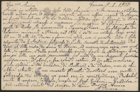 Anteprima dell'oggetto