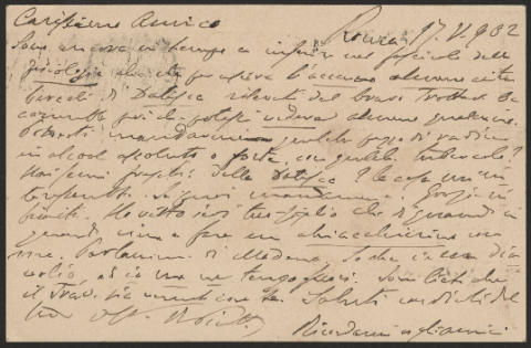 Anteprima dell'oggetto