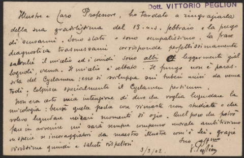 Anteprima dell'oggetto