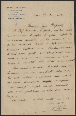 Anteprima dell'oggetto