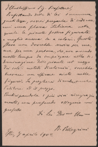 Anteprima dell'oggetto