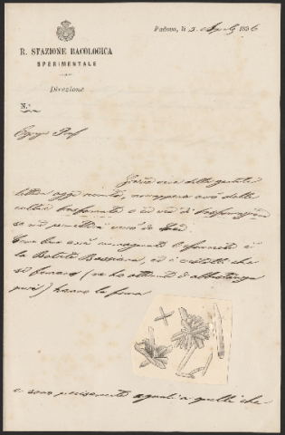 Anteprima dell'oggetto