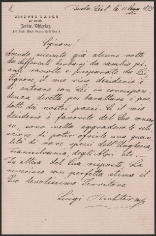 Anteprima dell'oggetto