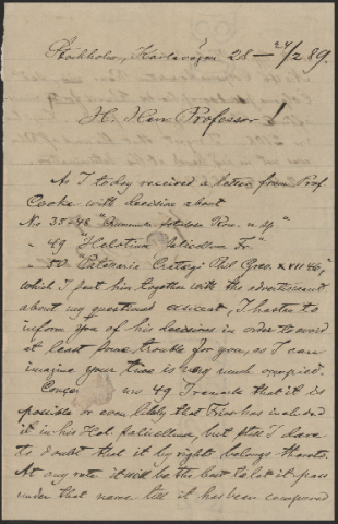 Anteprima dell'oggetto