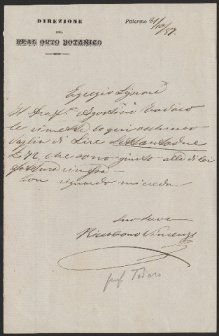 Anteprima dell'oggetto