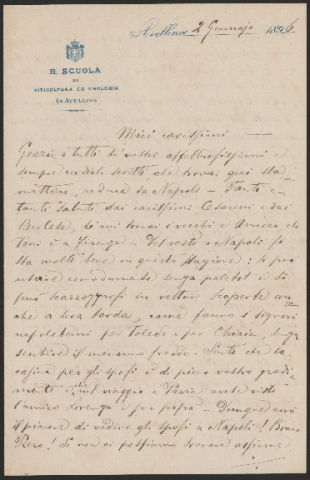 Anteprima dell'oggetto