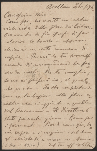 Anteprima dell'oggetto