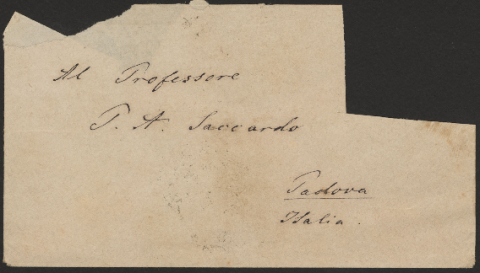 Anteprima dell'oggetto