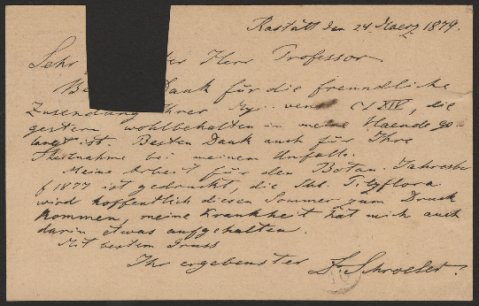 Anteprima dell'oggetto