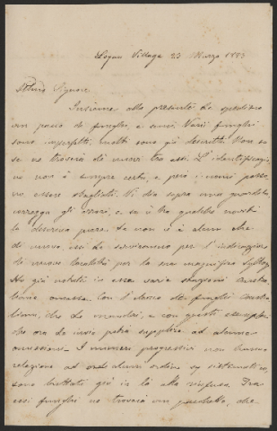 Anteprima dell'oggetto