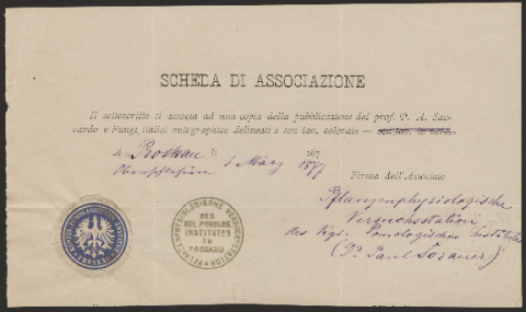 Anteprima dell'oggetto