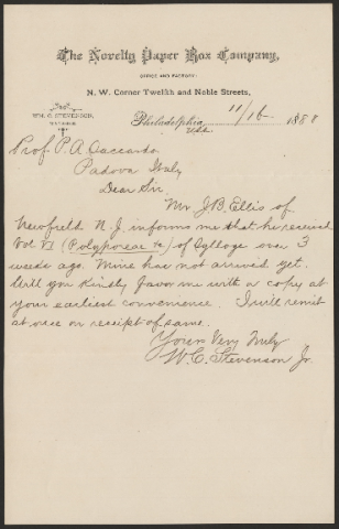 Anteprima dell'oggetto