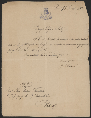 Anteprima dell'oggetto