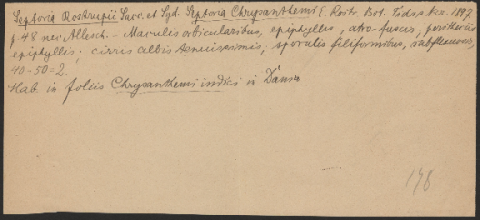 Anteprima dell'oggetto