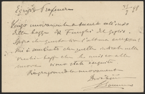 Anteprima dell'oggetto