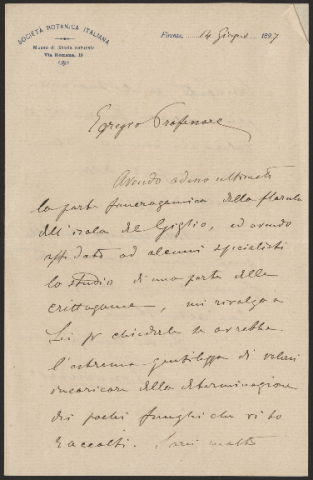 Anteprima dell'oggetto