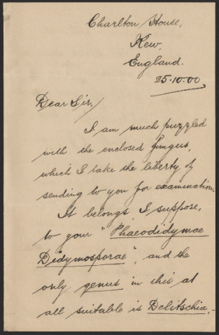 Anteprima dell'oggetto