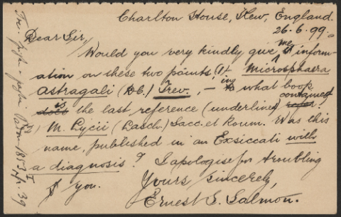 Anteprima dell'oggetto