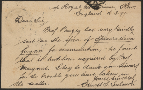 Anteprima dell'oggetto