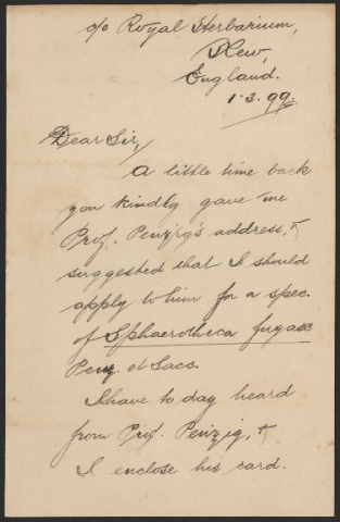 Anteprima dell'oggetto