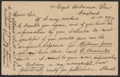 Anteprima dell'oggetto