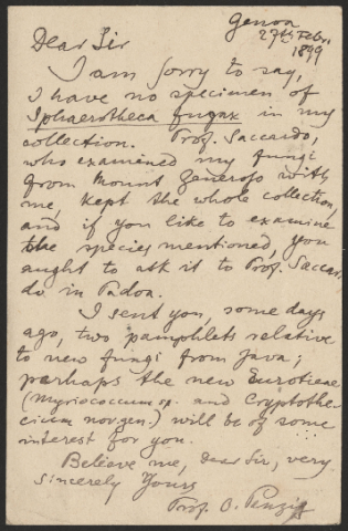 Anteprima dell'oggetto