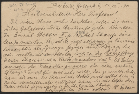 Anteprima dell'oggetto