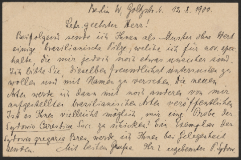 Anteprima dell'oggetto