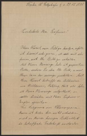 Anteprima dell'oggetto