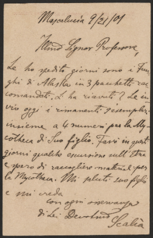 Anteprima dell'oggetto