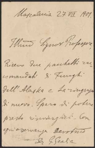 Anteprima dell'oggetto