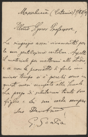 Anteprima dell'oggetto