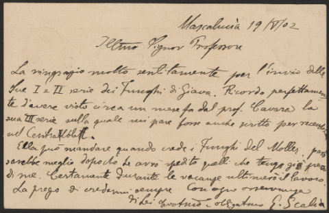 Anteprima dell'oggetto