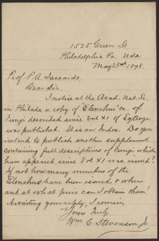 Anteprima dell'oggetto