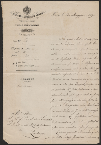 Anteprima dell'oggetto