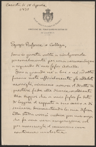 Anteprima dell'oggetto