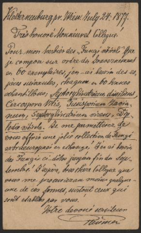 Anteprima dell'oggetto