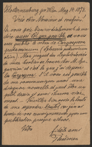 Anteprima dell'oggetto