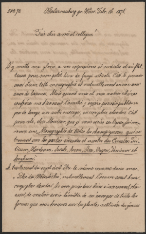 Anteprima dell'oggetto