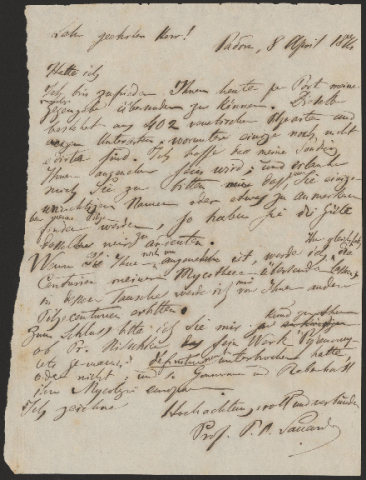 Anteprima dell'oggetto